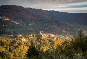 A walk in the woods of Valleriana - Credit: Thomas Williams and Meagen Collins